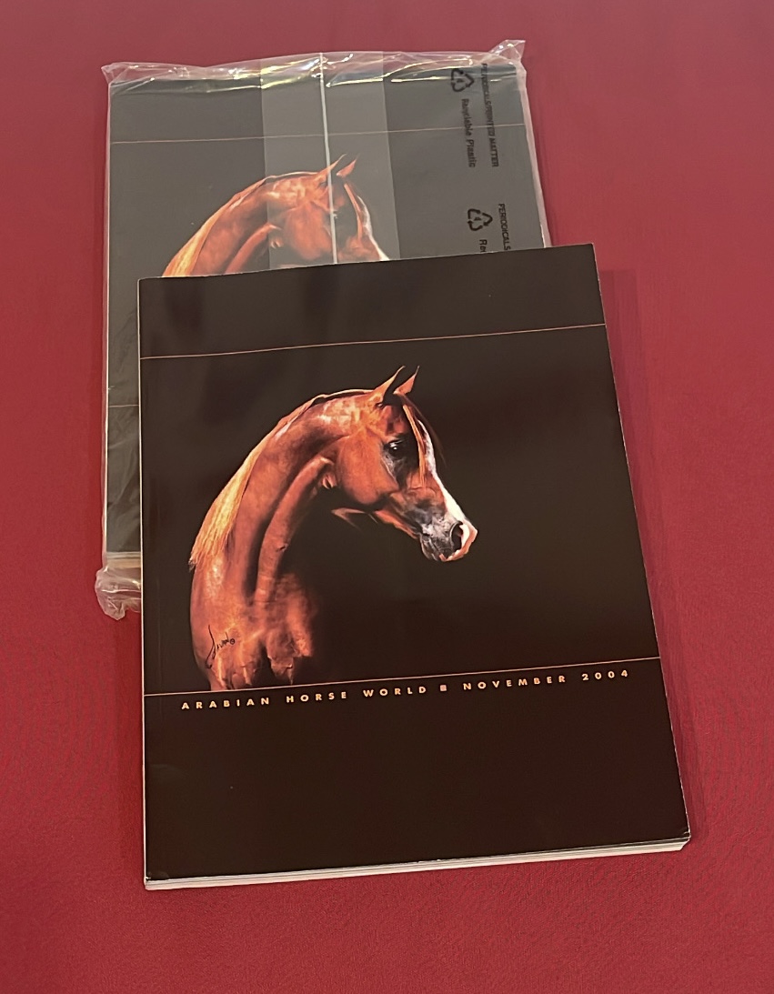 Arabian Horse World - Image 4