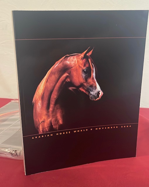 Arabian Horse World - Image 3