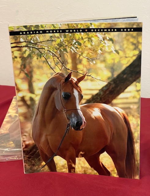 Arabian Horse World - Image 2