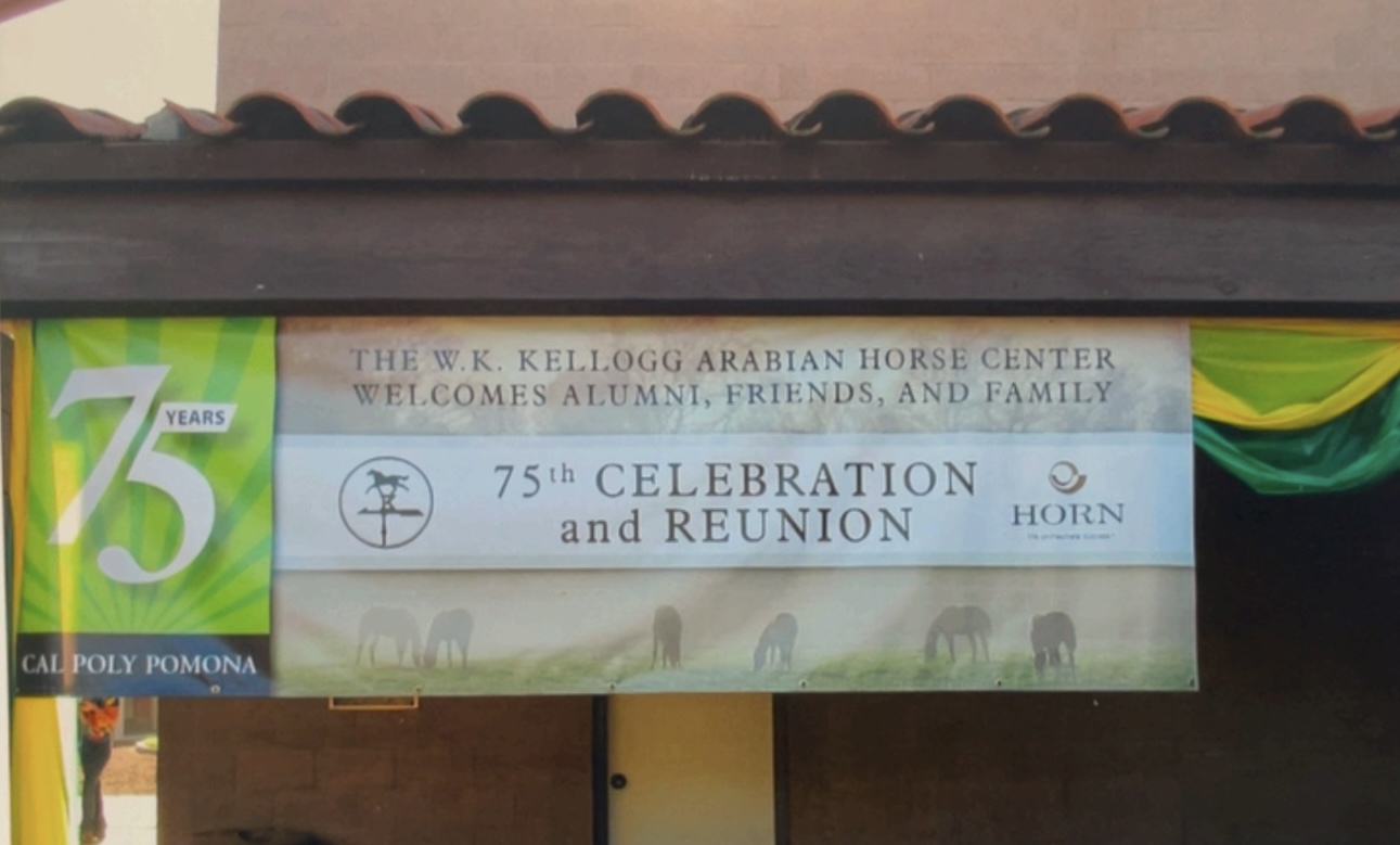 A Celebration of the Kellogg / Cal Poly Pomona Arabian Horses, 1925–2000 - Image 5