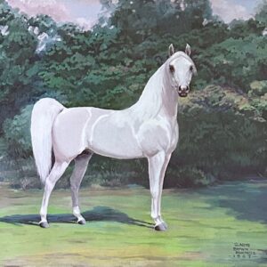 the Arabian stallion Skowronek