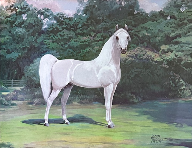 the Arabian stallion Skowronek